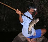 spear fishing3